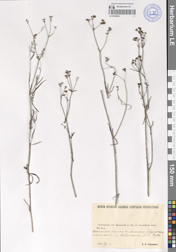 LE 01209043