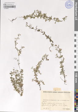 LE 01209075