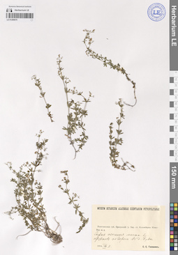 LE 01209079