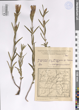 LE 01228160