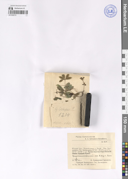 LE 01283715