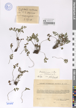 LE 01060197