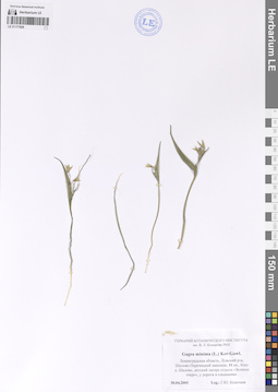 LE 01177928