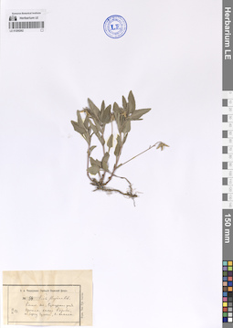 LE 01200262