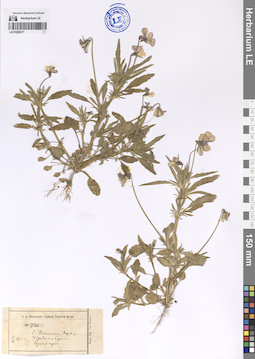 LE 01200277