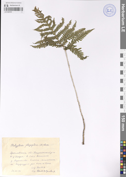 LE 01207075