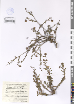 LE 01208150
