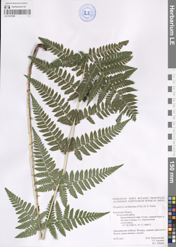 LE 01227608