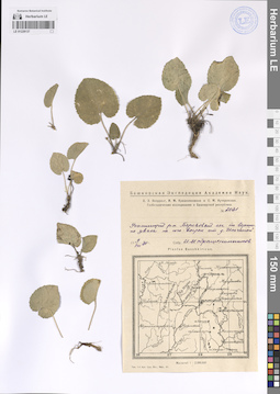LE 01228137