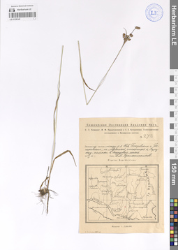 LE 01228142