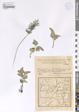 LE 01228153