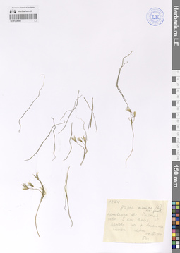 LE 01228502