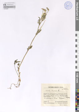 LE 01242061