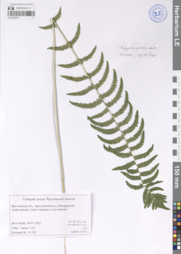 LE 01242477