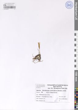 LE 01242795