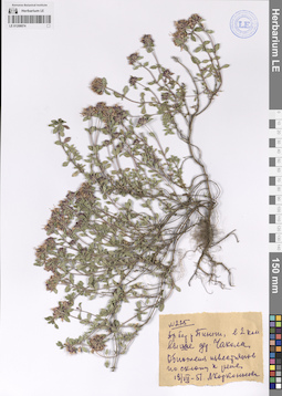 LE 01208074
