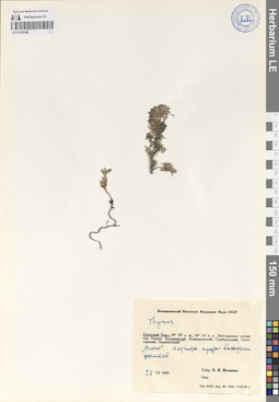 LE 01209348