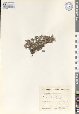 LE 01209359