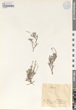 LE 01209607