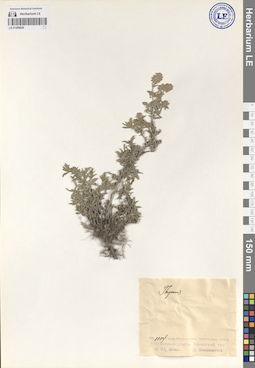 LE 01209620