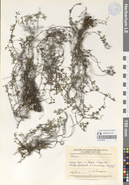 LE 01209714