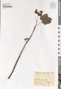 LE 01226204