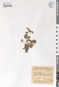 LE 01226225