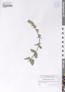LE 01228097