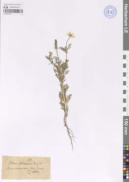 LE 01207176