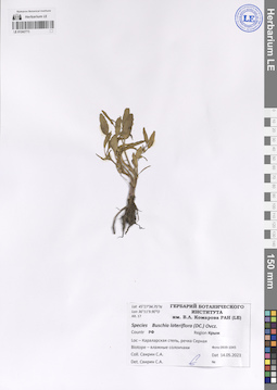 LE 01242773