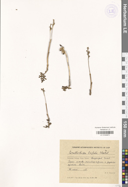 LE 01030872