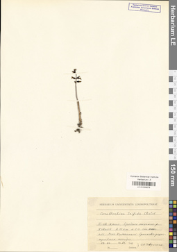 LE 01030876