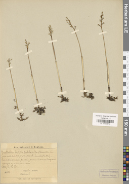 LE 01030878