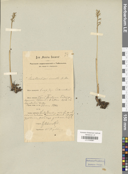 LE 01030881
