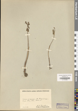 LE 01030882