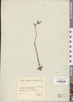 LE 01030883