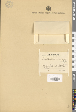 LE 01030885
