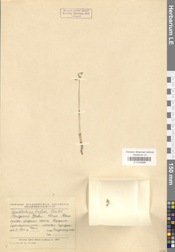 LE 01030886