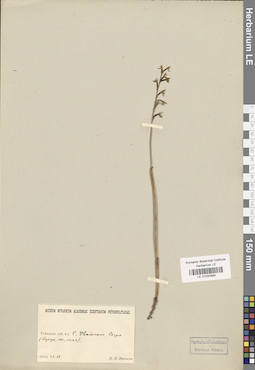 LE 01030894