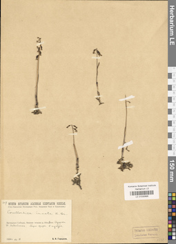 LE 01030895
