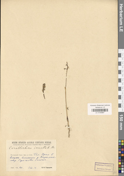 LE 01030897