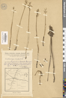 LE 01030899