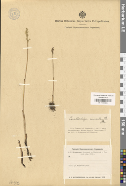 LE 01030905