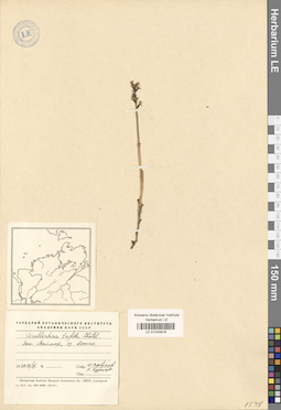 LE 01030916
