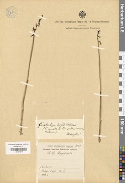 LE 01030918