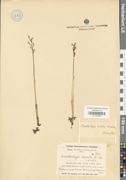LE 01030920