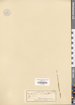 LE 01030924