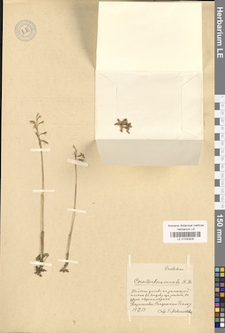 LE 01030929