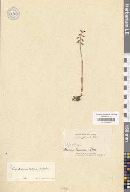 LE 01030930