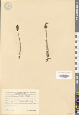 LE 01030932